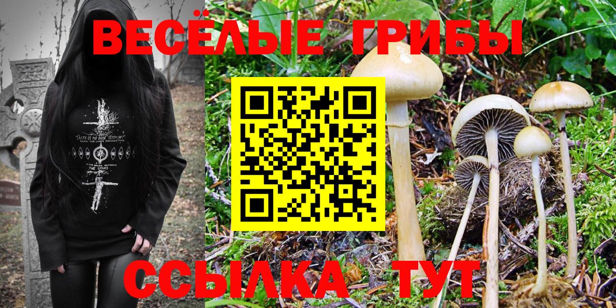 Галлюциногенные грибы прущие грибы Жигулёвск