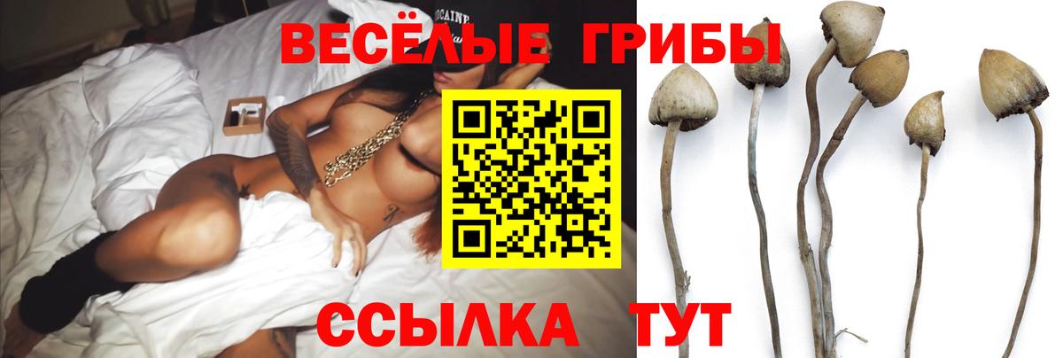 Галлюциногенные грибы Cubensis  Вход с VPN  Псилоцибиновые грибы мицелий  Жигулёвск 